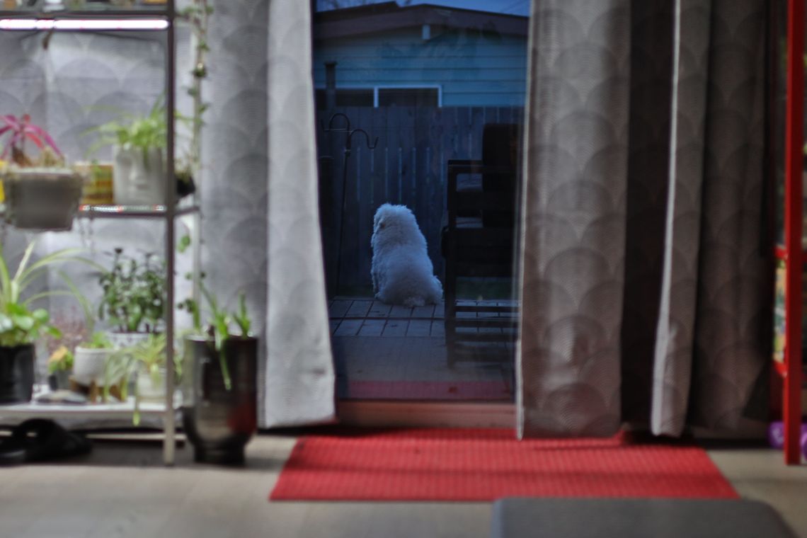 (Untitled)