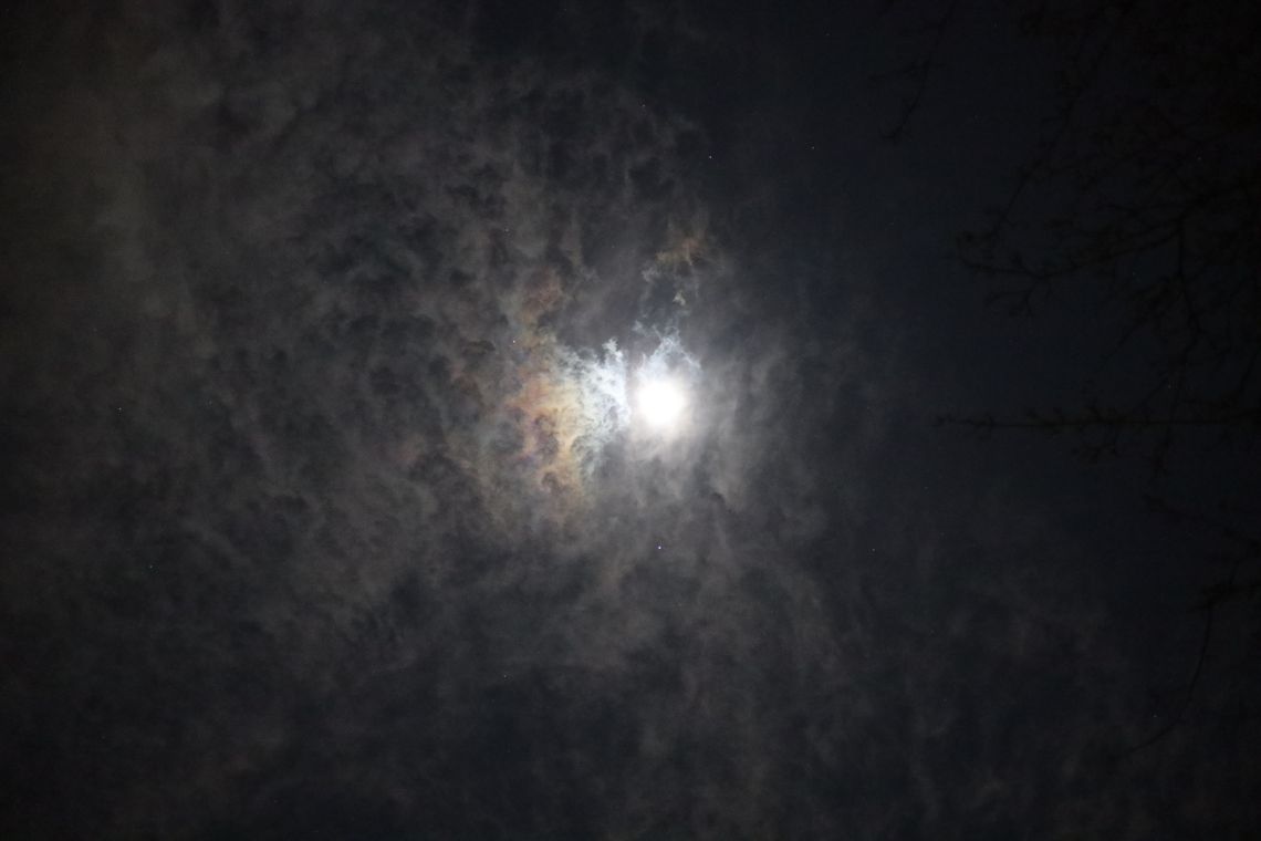 (Untitled)