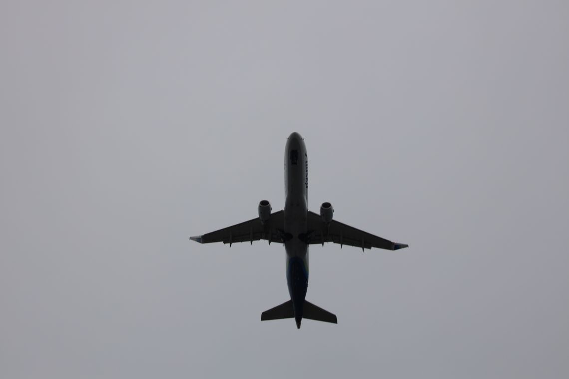 (Untitled)