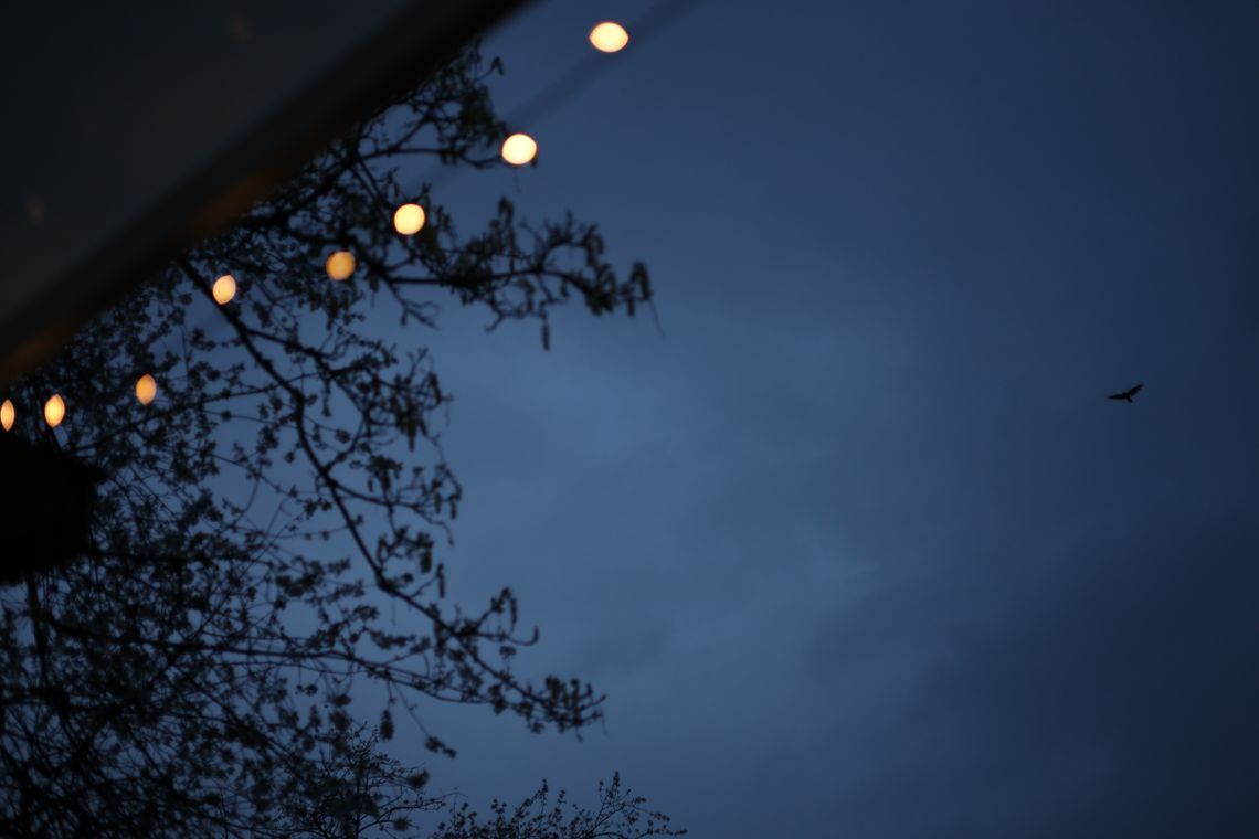 (Untitled)