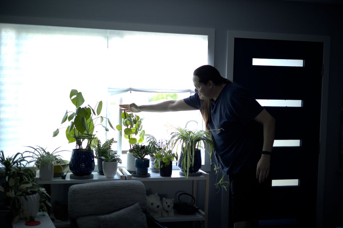 Window Plants