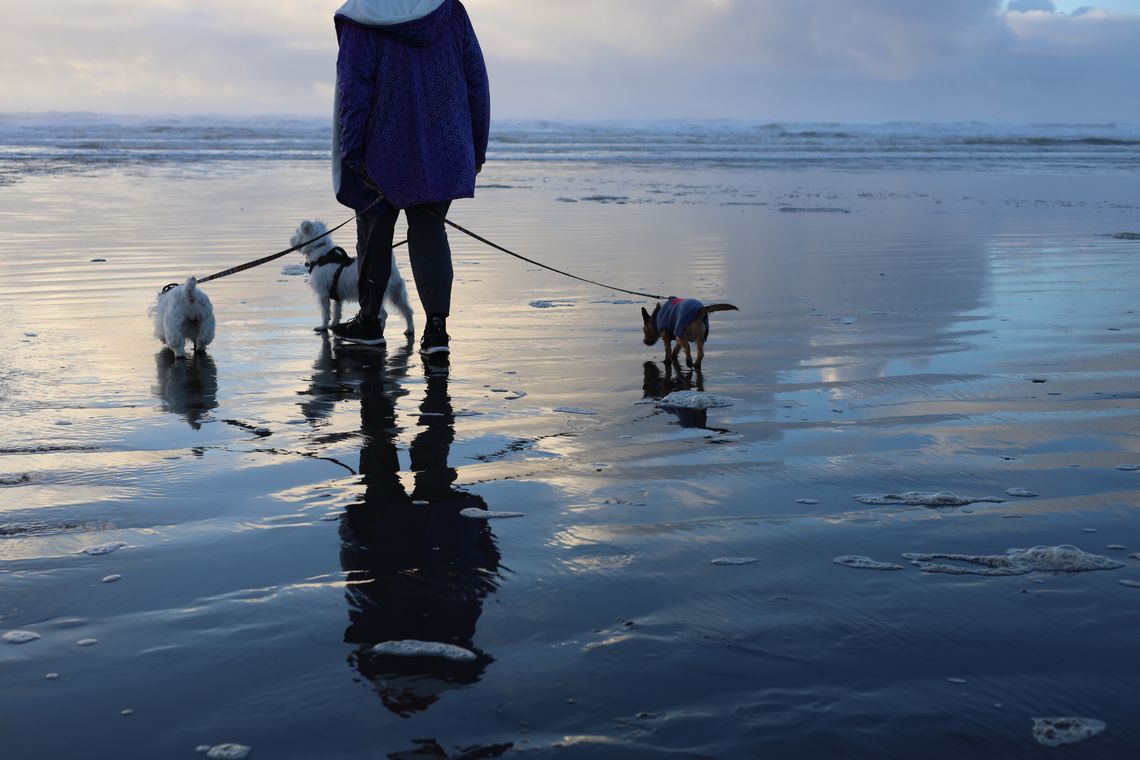 Ocean Shores, WA