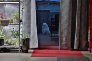 (Untitled)