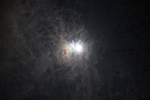 (Untitled)