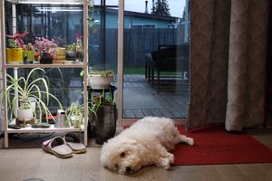 (Untitled)