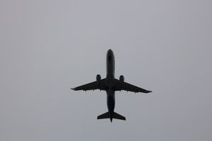 (Untitled)