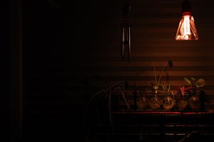 (Untitled)