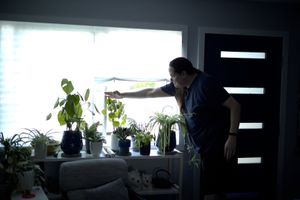 Window Plants